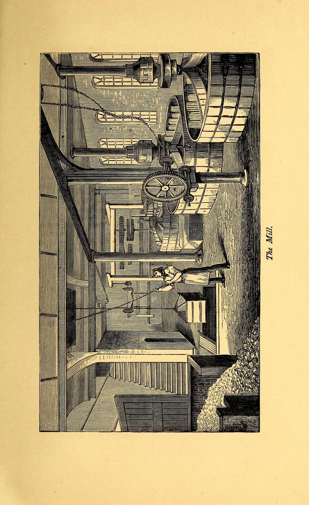 An illustration from A guide through the Royal Porcelain Works, Worcester, and an epitome of the history of pottery and porcelain with the marks on Worcester porcelain, 1878, leaf 13