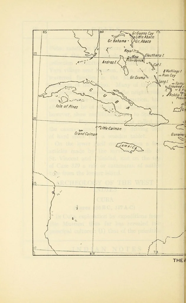 An illustration from Guide to the collections from the West Indies, 1922, leaf 28