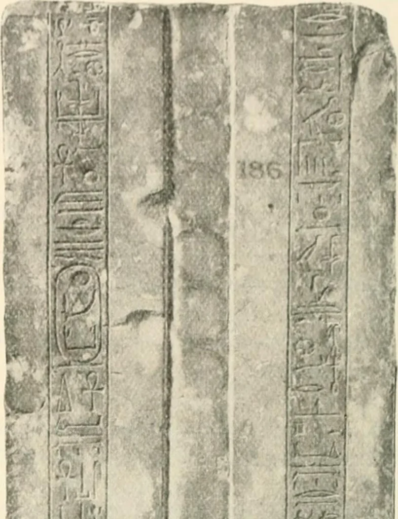 An illustration from A guide to the Egyptian galleries : (sculpture), 1909, leaf 155