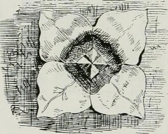 An illustration from A guide to English Gothic architecture, illustrated by numerous drawings and photographs, 1922, leaf 36