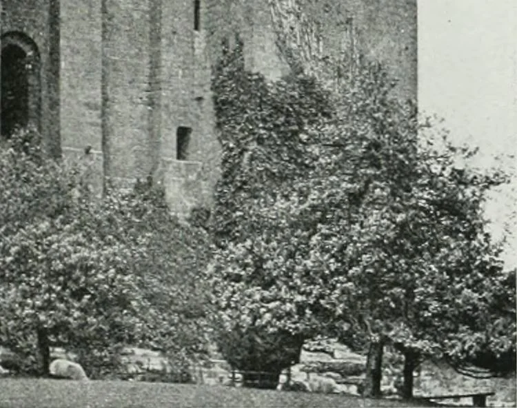 An illustration from A guide to English Gothic architecture, illustrated by numerous drawings and photographs, 1922, leaf 83