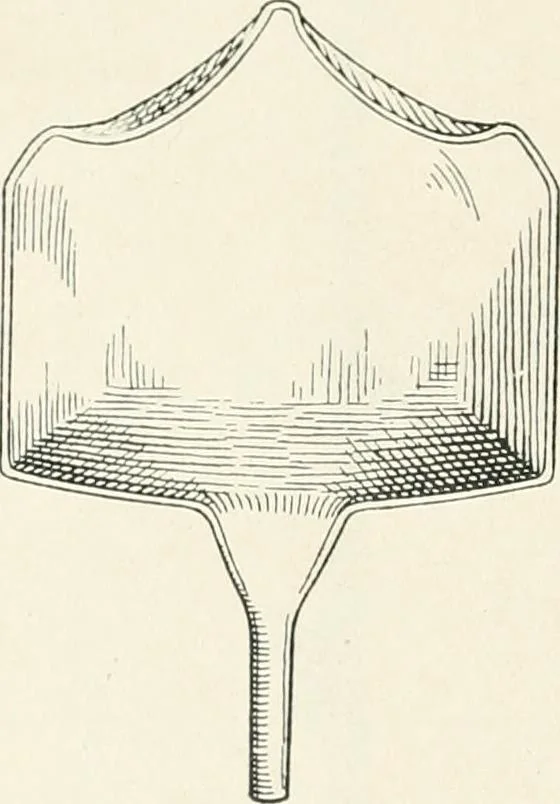 An illustration from A guide to the exhibition illustrating Greek and Roman life, 1920, leaf 124
