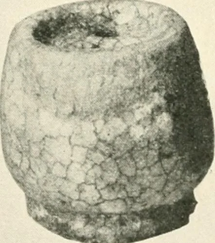 An illustration from A guide to the exhibition illustrating Greek and Roman life, 1920, leaf 213