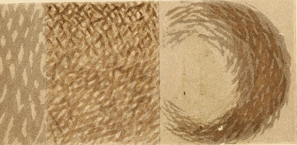 An illustration from A guide to figure painting in water-colours : with illustrations and brushwork, 1880, leaf 27