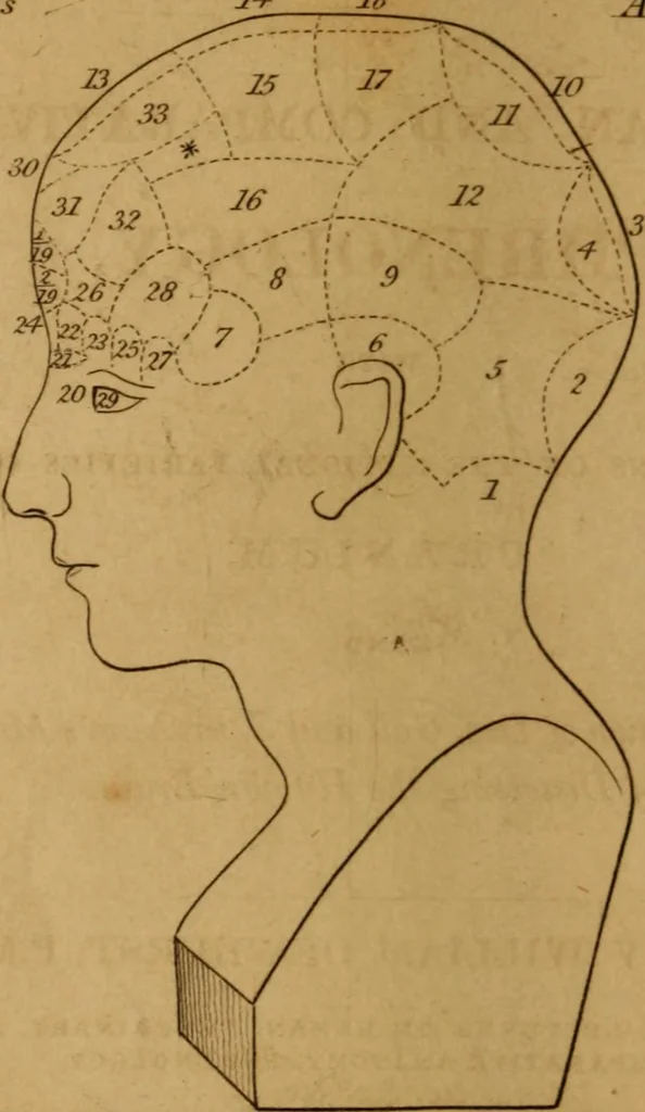 An illustration from A guide to human and comparative phrenology : With observations on the national varieties of the cranium, and a description of Drs. Gall and Spurzheim's method of dissecting the human brain, 1831, leaf 6