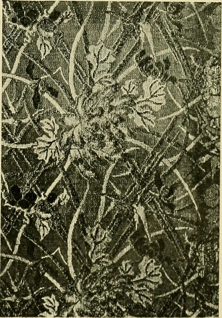 An illustration from Guide to the Japanese textiles, 1919, leaf 89