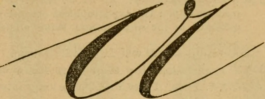 An illustration from Guide to the kindergarten and intermediate class, 1877, leaf 239