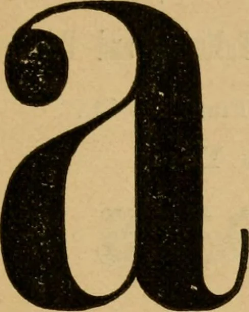 An illustration from Guide to the kindergarten and intermediate class, 1877, leaf 241