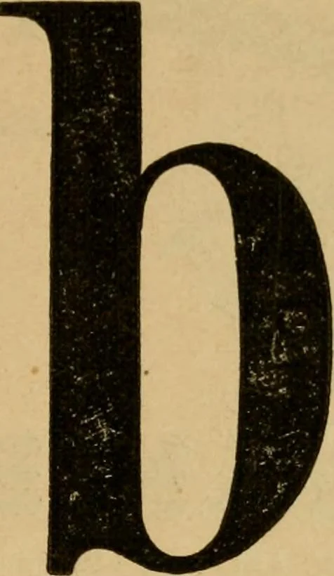 An illustration from Guide to the kindergarten and intermediate class, 1877, leaf 241