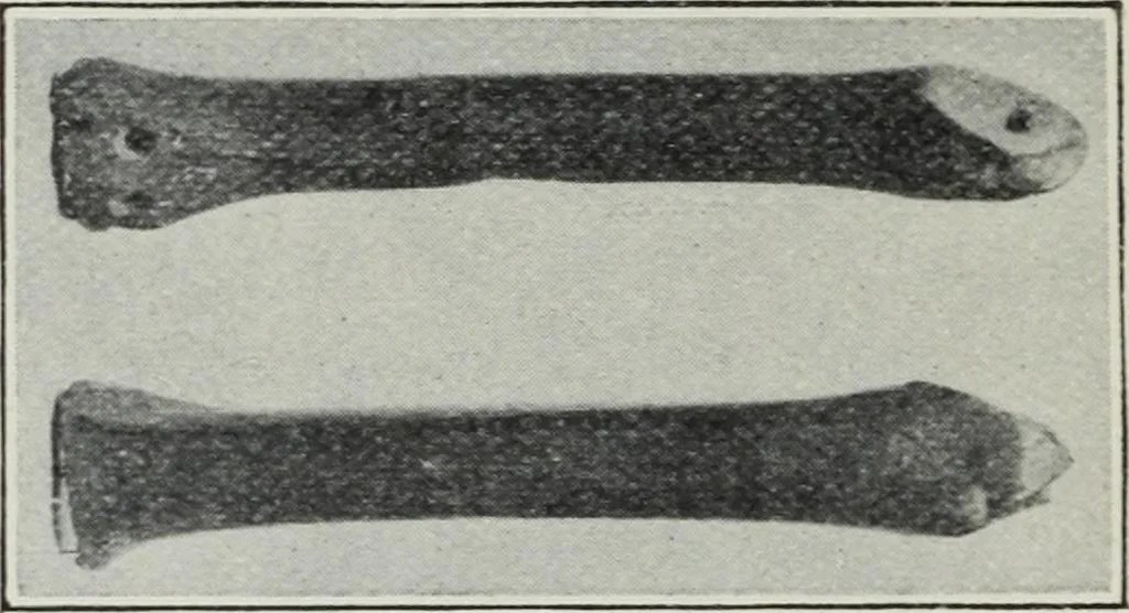 An illustration from A guide to the Mediaeval Room and to the specimens of mediaeval and later times in the gold ornament room : with fourteen plates and a hundred and ninety-four illustrations, 1907, leaf 101
