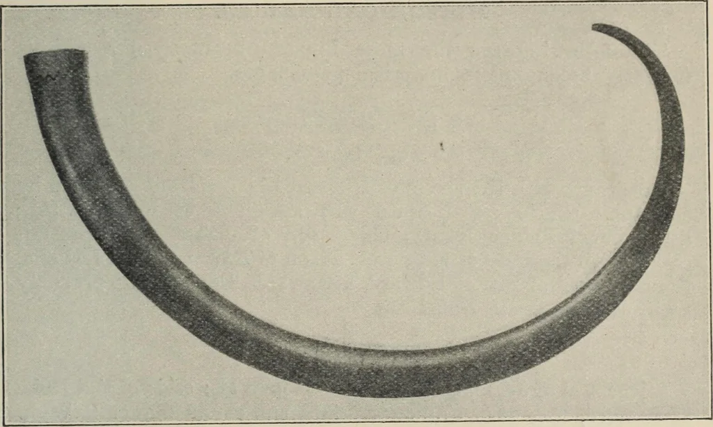 An illustration from A guide to the Mediaeval Room and to the specimens of mediaeval and later times in the gold ornament room : with fourteen plates and a hundred and ninety-four illustrations, 1907, leaf 184