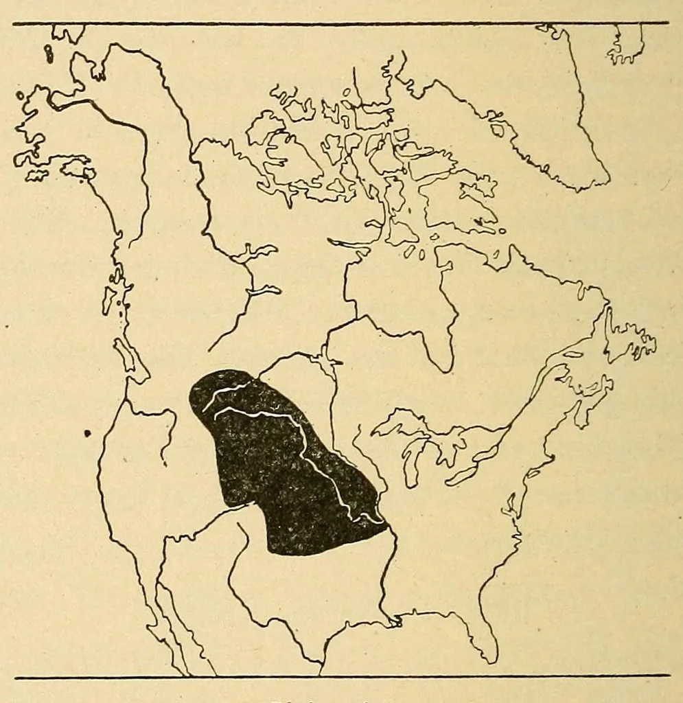 An illustration from Guide to the museum, first floor, 1922, leaf 102