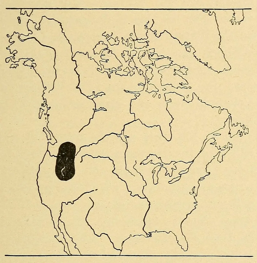 An illustration from Guide to the museum, first floor, 1922, leaf 117