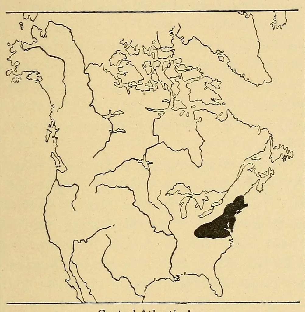 An illustration from Guide to the museum, first floor, 1922, leaf 13