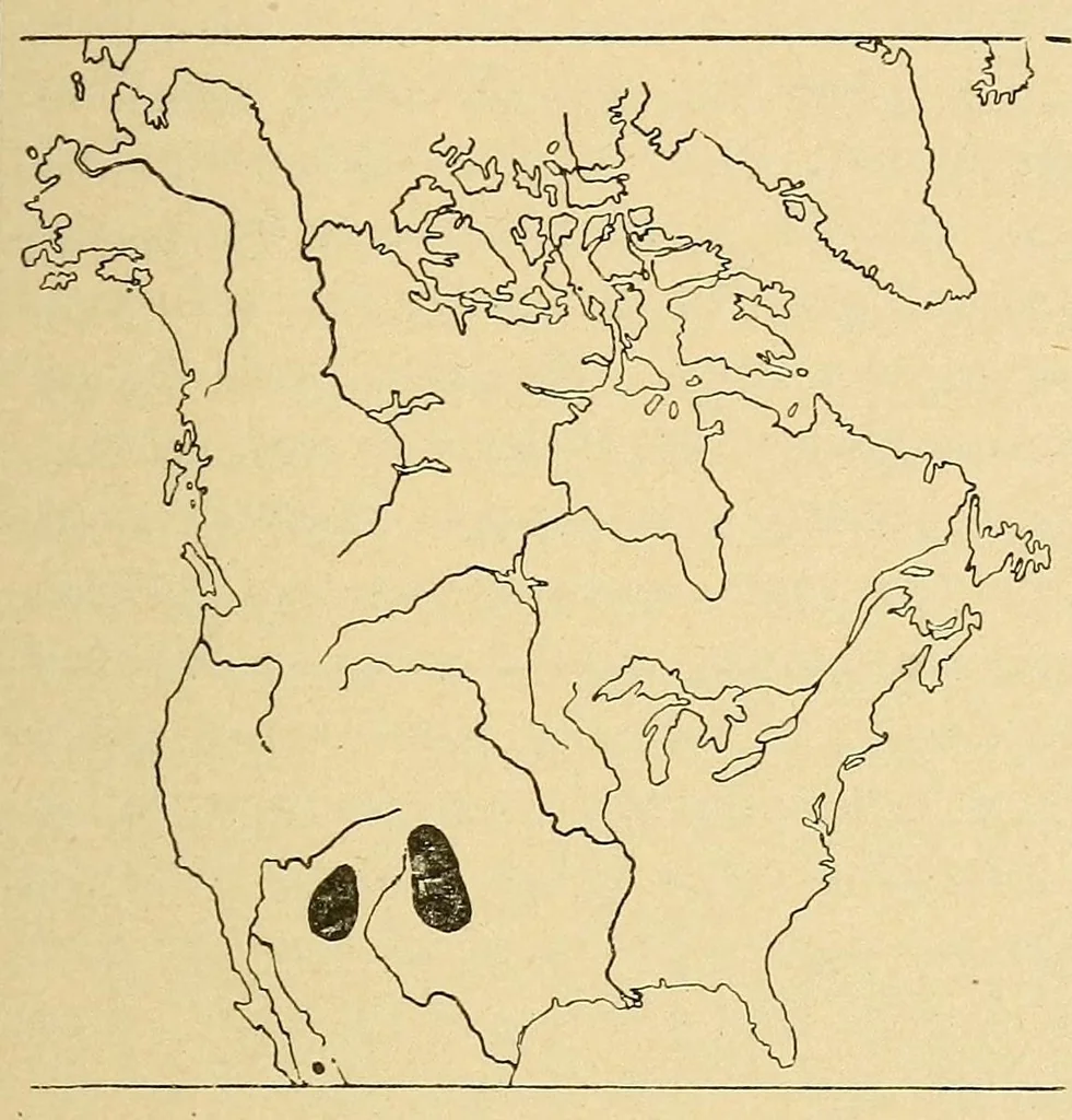 An illustration from Guide to the museum, first floor, 1922, leaf 135