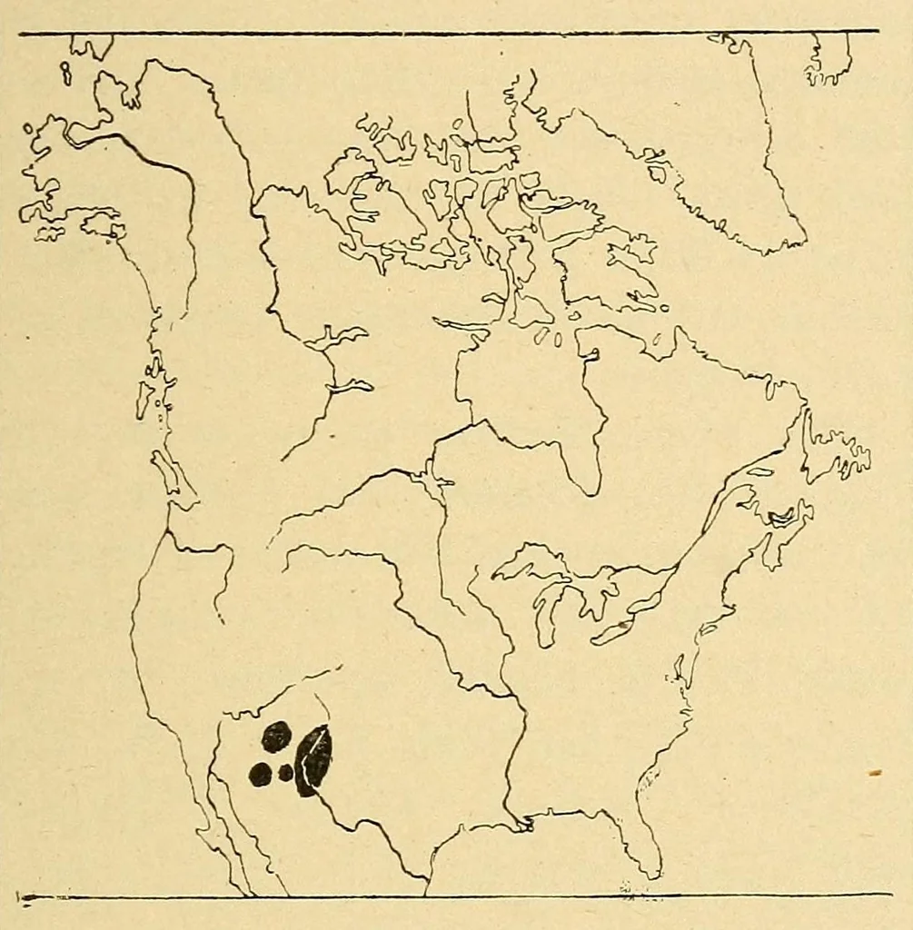 An illustration from Guide to the museum, first floor, 1922, leaf 145
