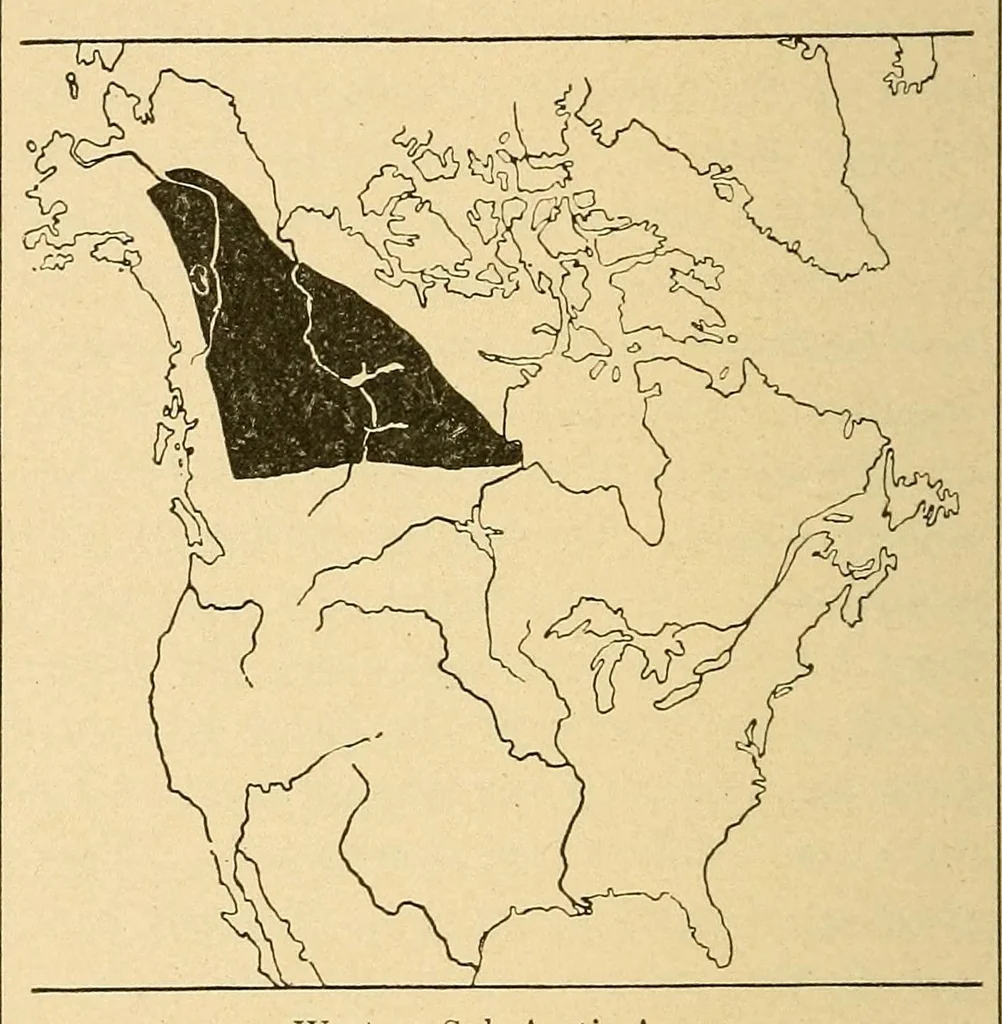 An illustration from Guide to the museum, first floor, 1922, leaf 162