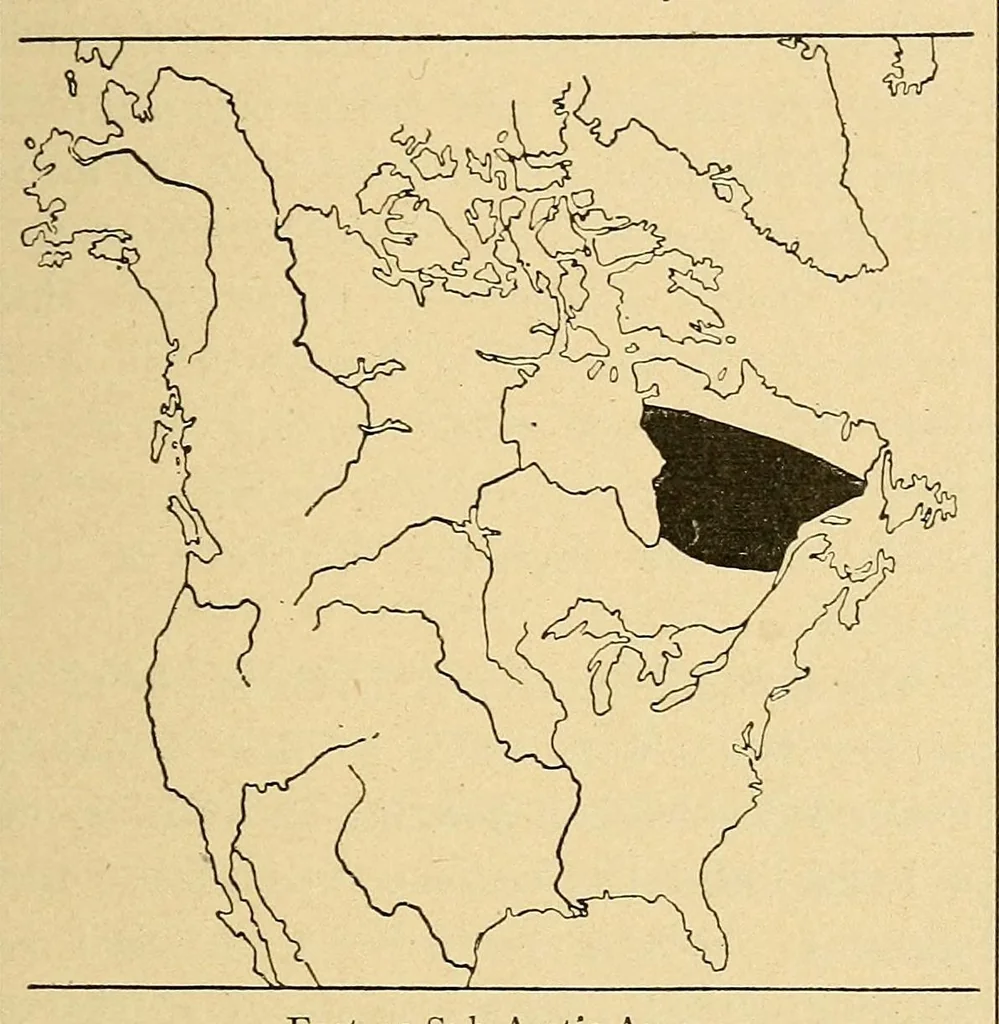 An illustration from Guide to the museum, first floor, 1922, leaf 169