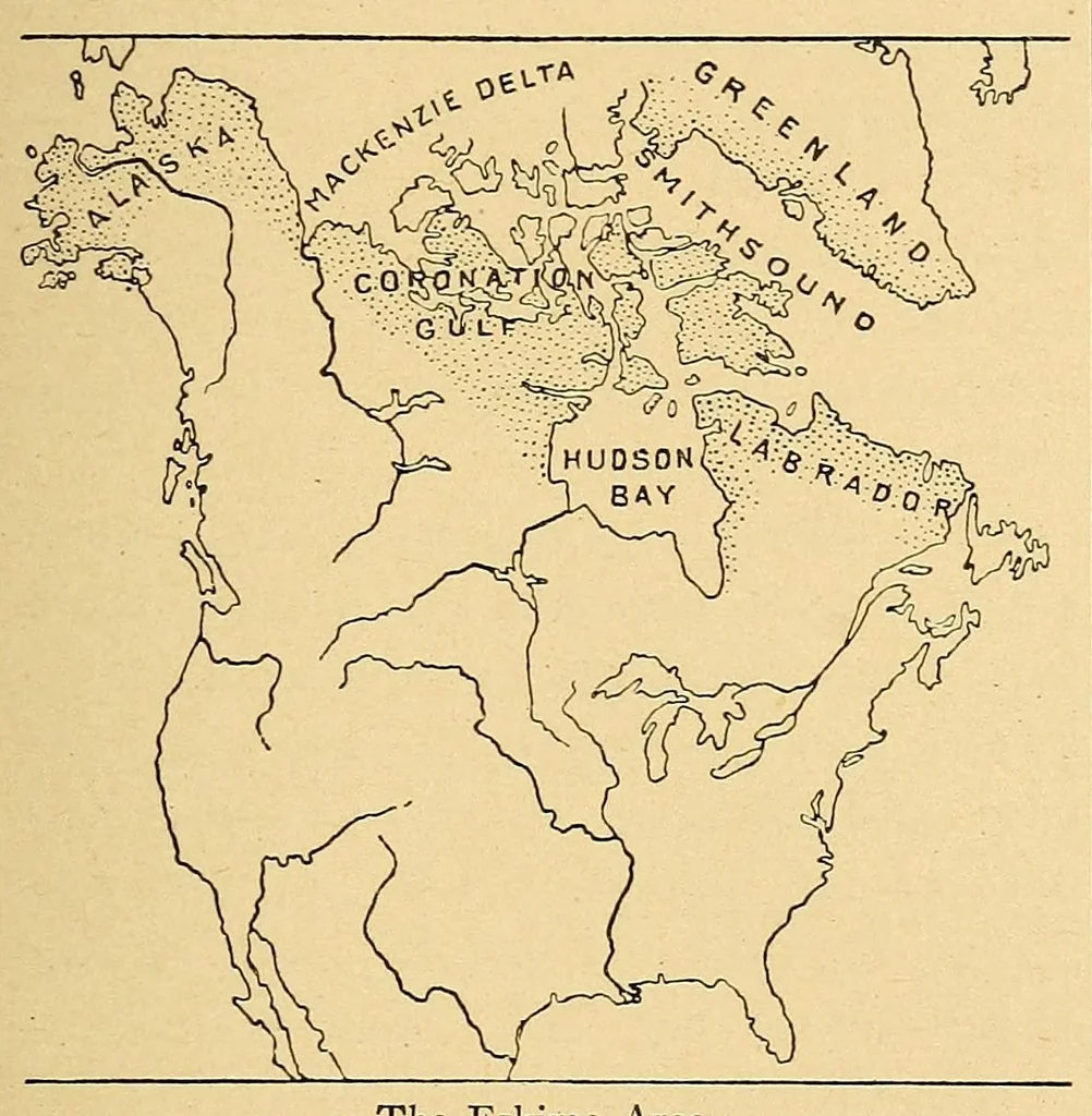 An illustration from Guide to the museum, first floor, 1922, leaf 213