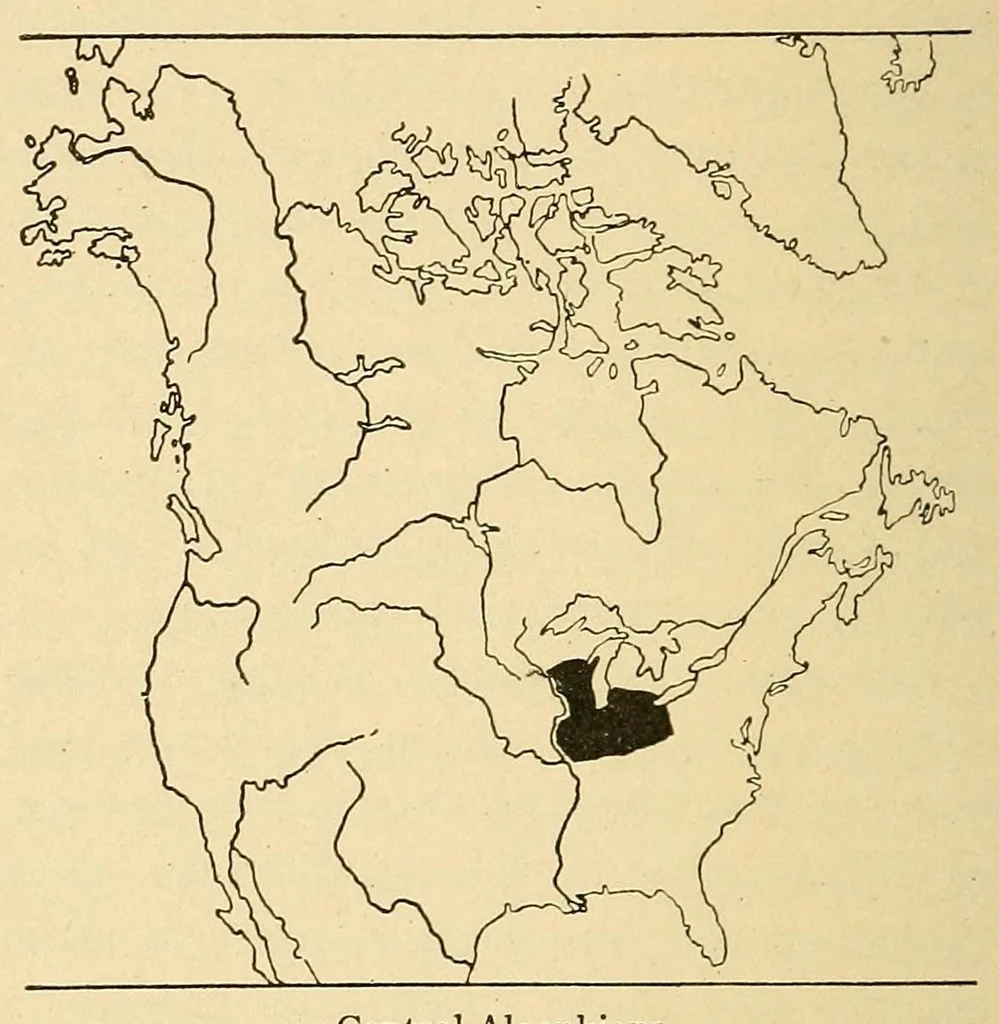 An illustration from Guide to the museum, first floor, 1922, leaf 38