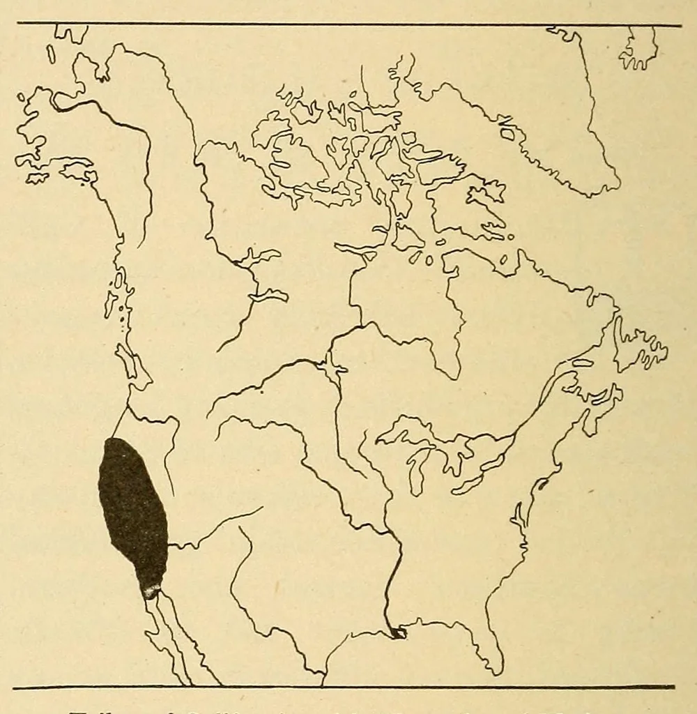 An illustration from Guide to the museum, second floor, 1922, leaf 16