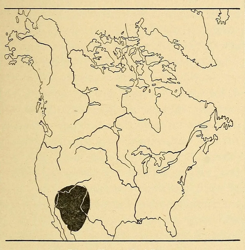 An illustration from Guide to the museum, second floor, 1922, leaf 23