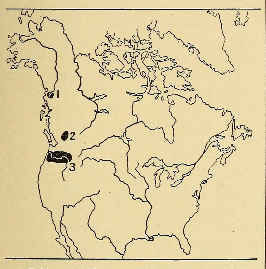 An illustration from Guide to the museum, second floor, 1922, leaf 41