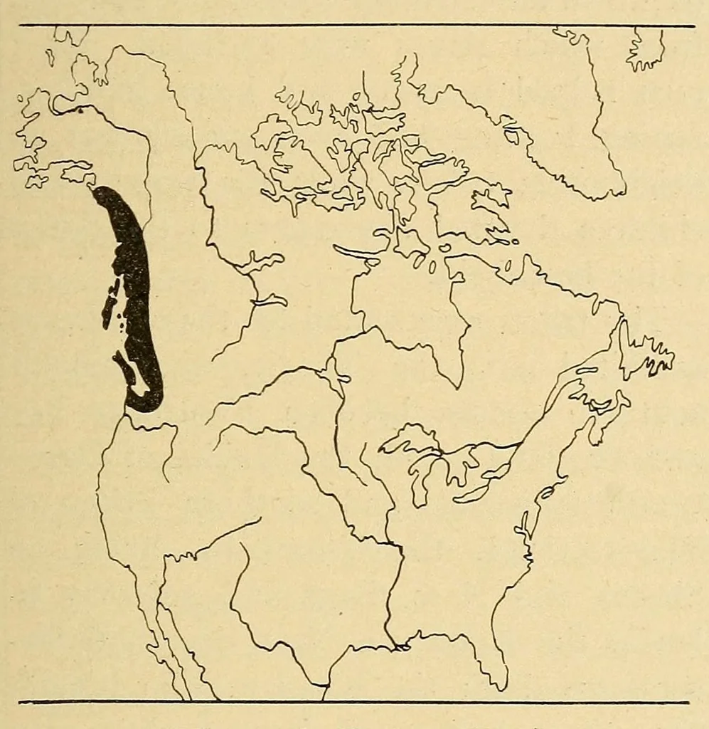An illustration from Guide to the museum, second floor, 1922, leaf 51