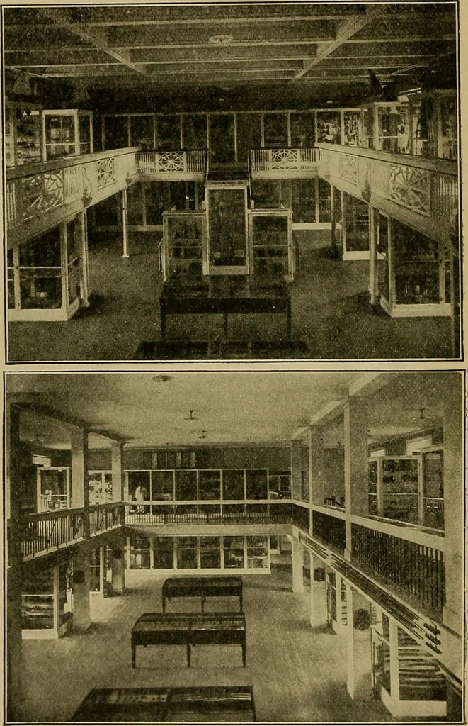 An illustration from Guide to the Peabody museum, 1916, leaf 25