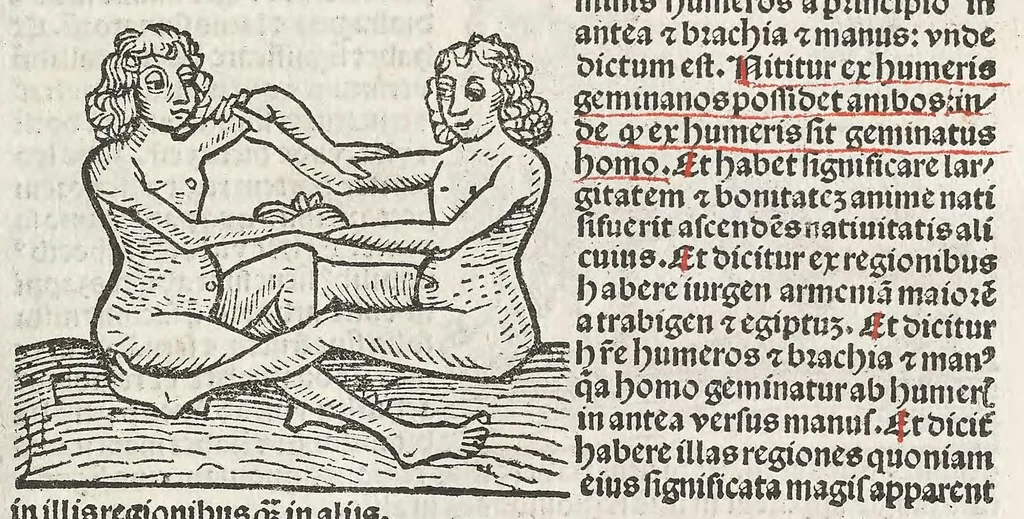 An illustration from Guido Bonatus de Forlinio decem continens tractatus astronomie, leaf 49