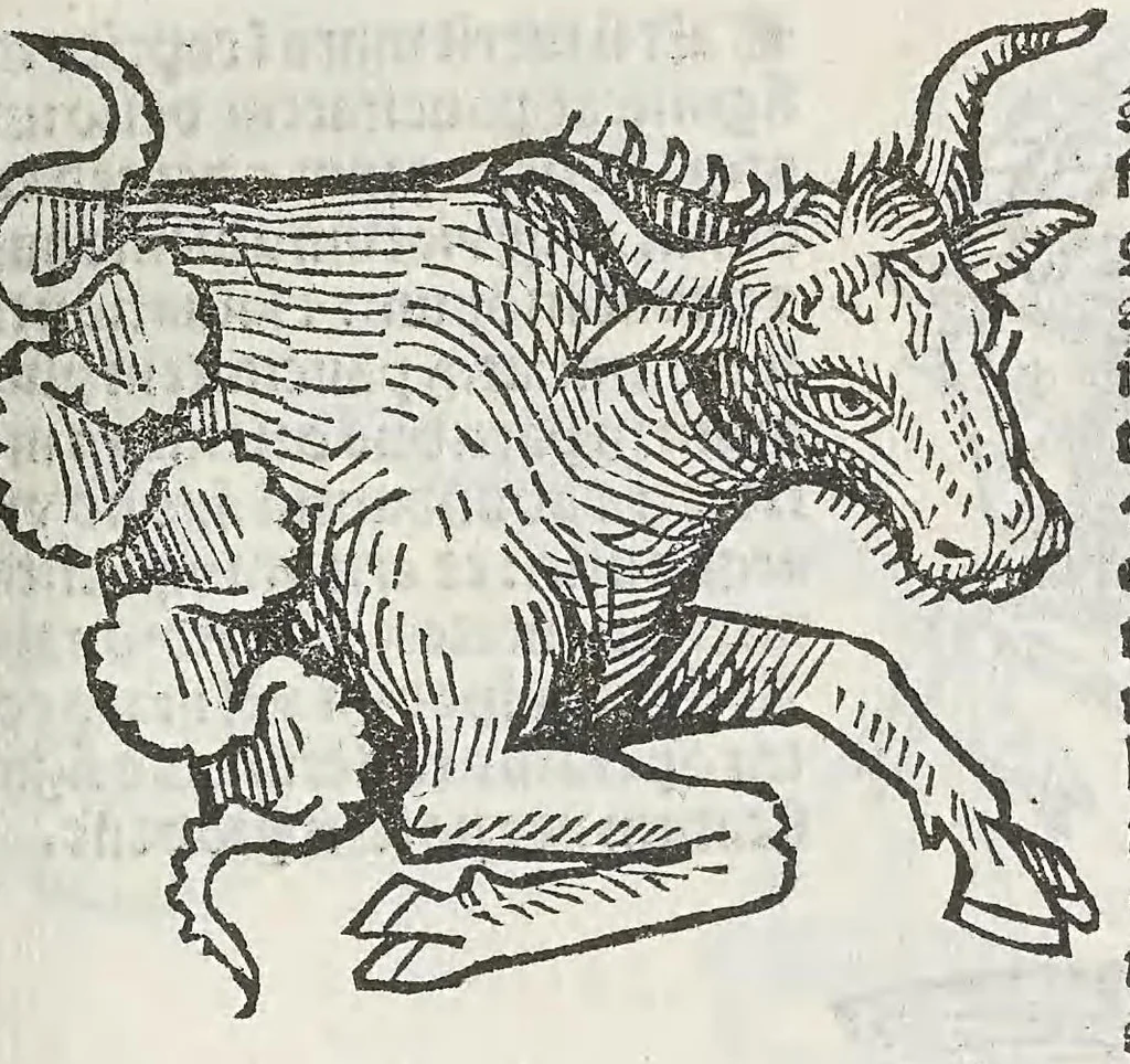 An illustration from Guido Bonatus de Forlinio decem continens tractatus astronomie, leaf 555