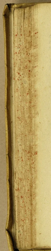 An illustration from Guidonis Pancirolli jc. clariss. Rerum memorabilium libri duo., quorum prior deperditarum : posterior noviter inventarum est., 1607, leaf 158