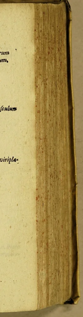 An illustration from Guidonis Pancirolli jc. clariss. Rerum memorabilium libri duo., quorum prior deperditarum : posterior noviter inventarum est., 1607, leaf 227