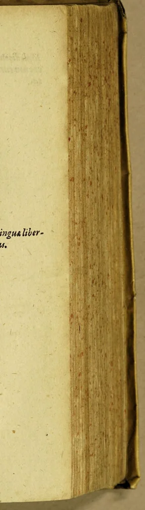 An illustration from Guidonis Pancirolli jc. clariss. Rerum memorabilium libri duo., quorum prior deperditarum : posterior noviter inventarum est., 1607, leaf 237
