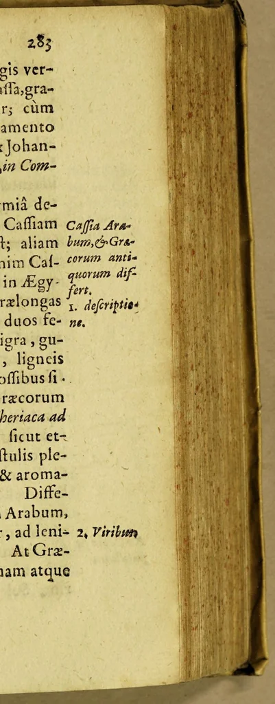An illustration from Guidonis Pancirolli jc. clariss. Rerum memorabilium libri duo., quorum prior deperditarum : posterior noviter inventarum est., 1607, leaf 307
