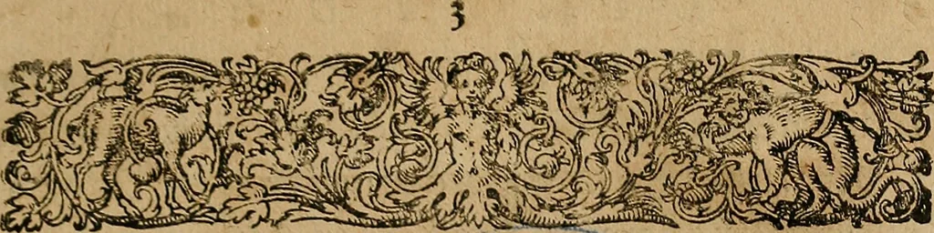 An illustration from Guilhelmi FabricI Hildani inclytae reipublicae Bernensis Helvet. medico-chirurgi ordinarii De gangraena et sphacelo, tractatus methodicus : in quo horum morborum differentiae, causae, signa, prognostica, ac denique methodica curatio continentur, 1617, leaf 10