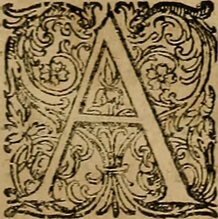 An illustration from Guilhelmi FabricI Hildani inclytae reipublicae Bernensis Helvet. medico-chirurgi ordinarii De gangraena et sphacelo, tractatus methodicus : in quo horum morborum differentiae, causae, signa, prognostica, ac denique methodica curatio continentur, 1617, leaf 10