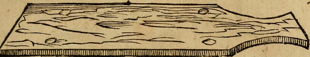 An illustration from Guilhelmi FabricI Hildani inclytae reipublicae Bernensis Helvet. medico-chirurgi ordinarii De gangraena et sphacelo, tractatus methodicus : in quo horum morborum differentiae, causae, signa, prognostica, ac denique methodica curatio continentur, 1617, leaf 164