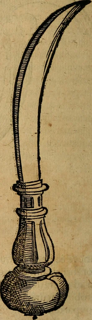 An illustration from Guilhelmi FabricI Hildani inclytae reipublicae Bernensis Helvet. medico-chirurgi ordinarii De gangraena et sphacelo, tractatus methodicus : in quo horum morborum differentiae, causae, signa, prognostica, ac denique methodica curatio continentur, 1617, leaf 173