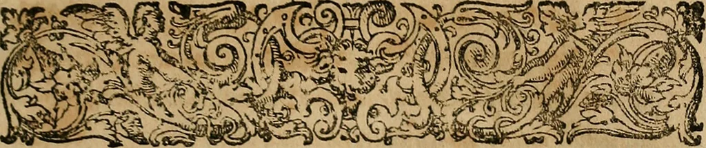 An illustration from Guilhelmi FabricI Hildani inclytae reipublicae Bernensis Helvet. medico-chirurgi ordinarii De gangraena et sphacelo, tractatus methodicus : in quo horum morborum differentiae, causae, signa, prognostica, ac denique methodica curatio continentur, 1617, leaf 20