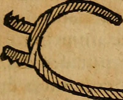 An illustration from Guilhelmi FabricI Hildani inclytae reipublicae Bernensis Helvet. medico-chirurgi ordinarii De gangraena et sphacelo, tractatus methodicus : in quo horum morborum differentiae, causae, signa, prognostica, ac denique methodica curatio continentur, 1617, leaf 218
