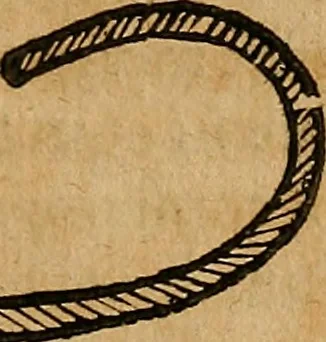 An illustration from Guilhelmi FabricI Hildani inclytae reipublicae Bernensis Helvet. medico-chirurgi ordinarii De gangraena et sphacelo, tractatus methodicus : in quo horum morborum differentiae, causae, signa, prognostica, ac denique methodica curatio continentur, 1617, leaf 218