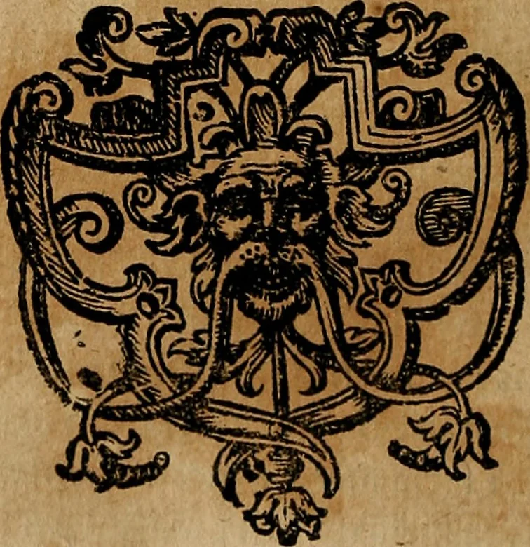 An illustration from Guilhelmi FabricI Hildani inclytae reipublicae Bernensis Helvet. medico-chirurgi ordinarii De gangraena et sphacelo, tractatus methodicus : in quo horum morborum differentiae, causae, signa, prognostica, ac denique methodica curatio continentur, 1617, leaf 237