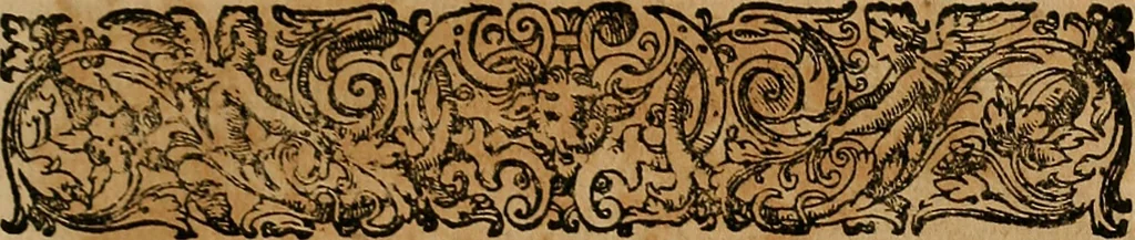 An illustration from Guilhelmi FabricI Hildani inclytae reipublicae Bernensis Helvet. medico-chirurgi ordinarii De gangraena et sphacelo, tractatus methodicus : in quo horum morborum differentiae, causae, signa, prognostica, ac denique methodica curatio continentur, 1617, leaf 238