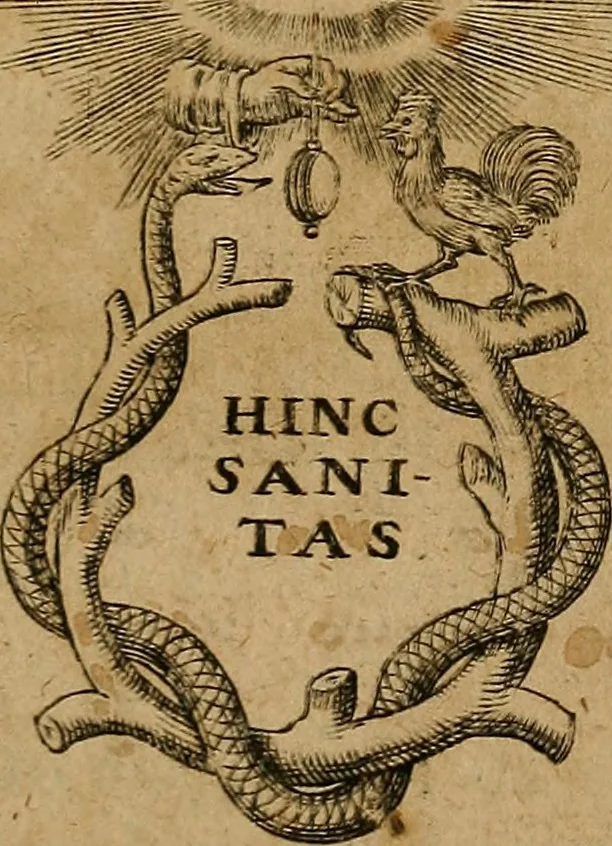 An illustration from Guilhelmi FabricI Hildani inclytae reipublicae Bernensis Helvet. medico-chirurgi ordinarii De gangraena et sphacelo, tractatus methodicus : in quo horum morborum differentiae, causae, signa, prognostica, ac denique methodica curatio continentur, 1617, leaf 8