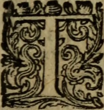 An illustration from Guiliel Amesii Medulla theologica, 1656, leaf 18