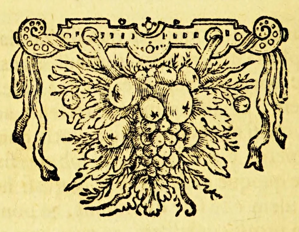 An illustration from Guilielmi Blaeu Institutio astronomica de usu globorum & sphaerarum caelestium ac terrestrium: : duabus partibus adornata, una, secundum hypothesin Ptolemaei, per terram quiescentem. Altera, juxta mentem N. Copernici, per terram mobilem., 1652, leaf 202