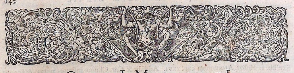 An illustration from Guilielmi Pisonis ... De medicina Brasiliensi libri qvatvor ... et Georgii Marcgravii de Liebstad Historiae rervm natvralivm Brasiliae, libri octo ... cum appendice de Tapuyis, et Chilensibvs J. de Laet ... in ordinem digessit & annotationes addidit, & varia ab auctore omissa supplevit & illustravit, 1648, leaf 283