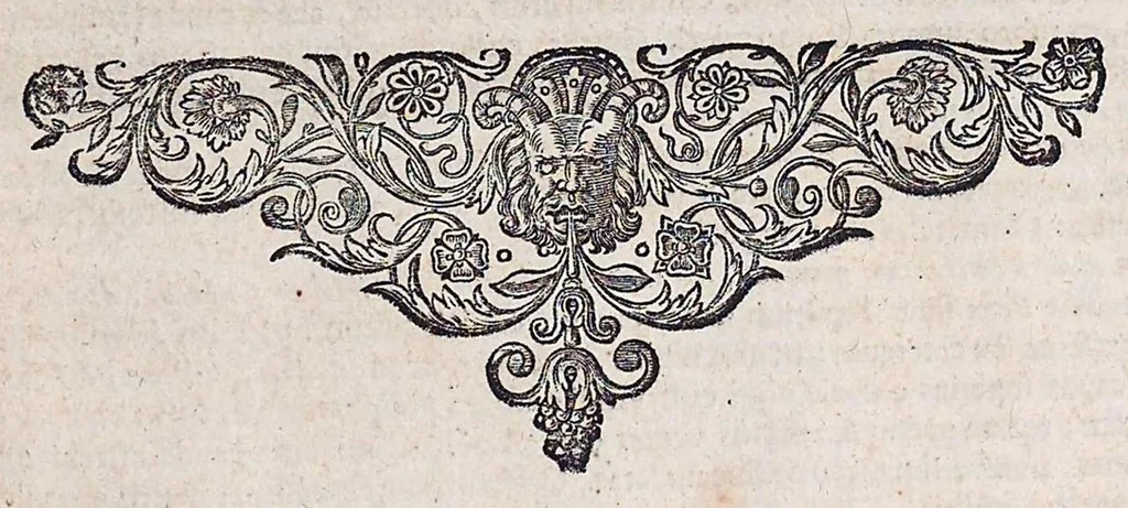 An illustration from Guilielmi Pisonis ... De medicina Brasiliensi libri qvatvor ... et Georgii Marcgravii de Liebstad Historiae rervm natvralivm Brasiliae, libri octo ... cum appendice de Tapuyis, et Chilensibvs J. de Laet ... in ordinem digessit & annotationes addidit, & varia ab auctore omissa supplevit & illustravit, 1648, leaf 361