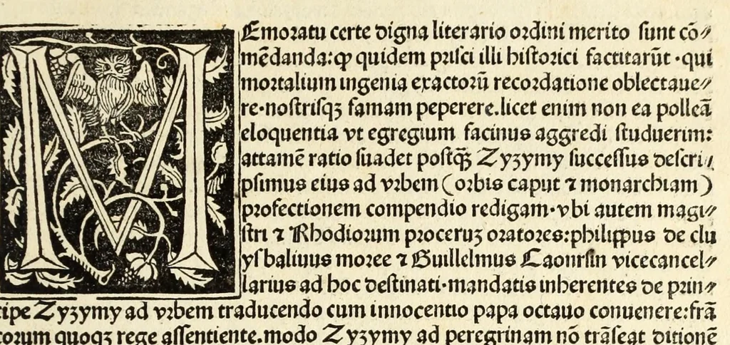 An illustration from Guillelmi Caonrsin [sic] Rhodiorum vicecancellarij: obsidionis Rhodie urbis descriptio, leaf 121